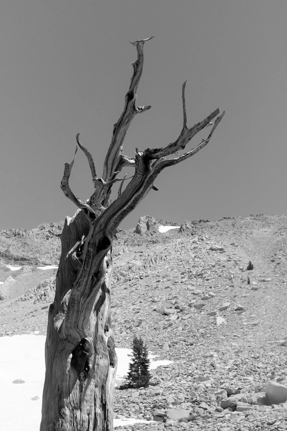 Manzanar Historical Visit & High Sierra Snow Adventure